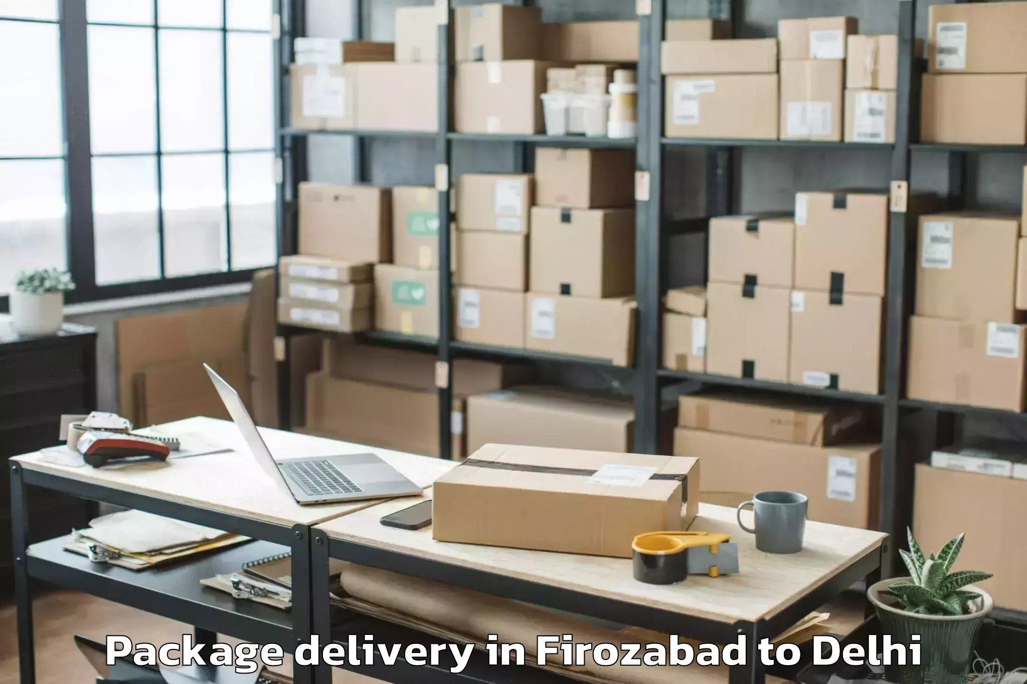 Reliable Firozabad to Palam Package Delivery